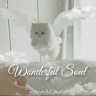 Логотип канала wonderful_soul98