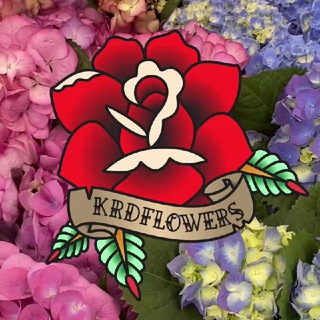 Логотип канала krdflowers