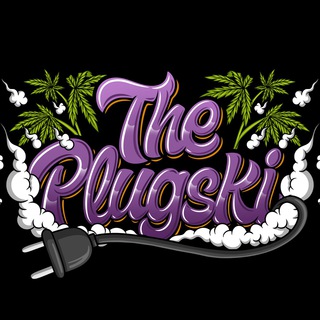 Логотип канала theplugski