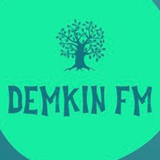 Логотип канала demkin_fm