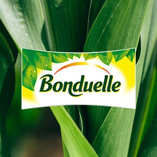 Логотип bonduellerus