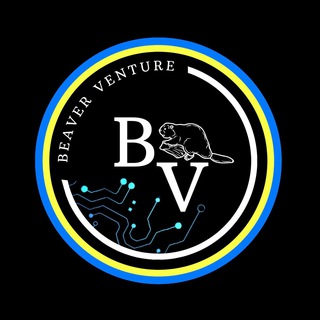 Логотип beaver_venture_ua