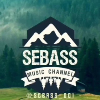 Логотип sebass_001