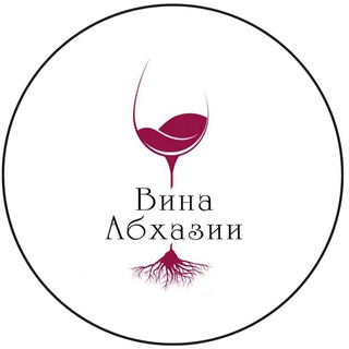 Логотип wine_jet_abkhazia