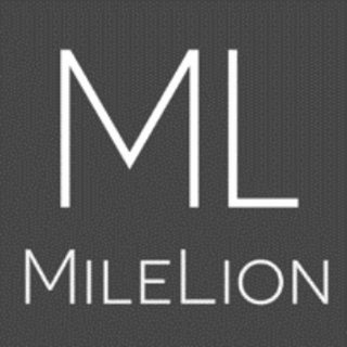 Логотип milelionroars