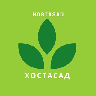 Логотип канала hostasad