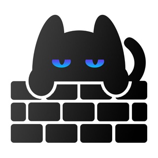 Логотип catnet_cn