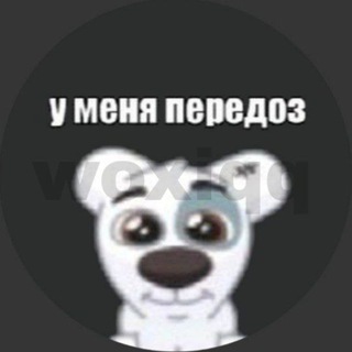 Логотип канала vaxirfluxhydrogen
