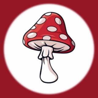 Логотип amanita74