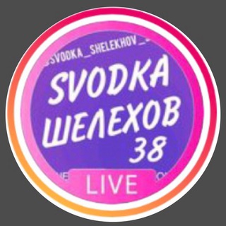 Логотип канала svodka_shelekhov38