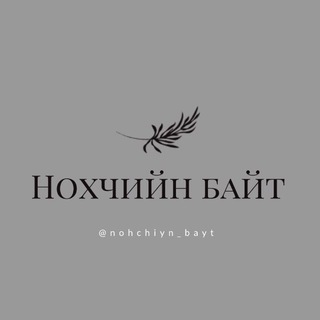 Логотип канала nohchiyn_bayt