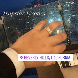 Логотип trapstarexoticsla