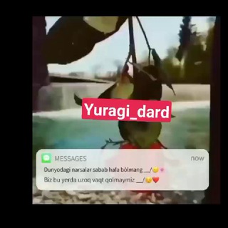 Логотип канала yuragi_dard