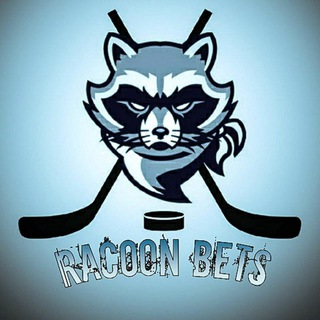 Логотип канала racoon_bets