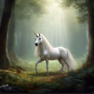 Логотип канала unicorn_adi_forest