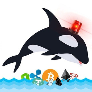 Логотип Whales_AlertSignal