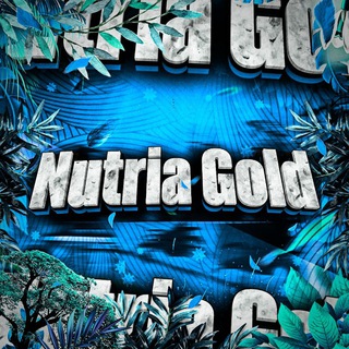 Логотип канала nutria_gold