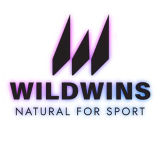 Логотип wildwins2