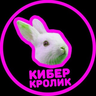 Логотип cyrabbit