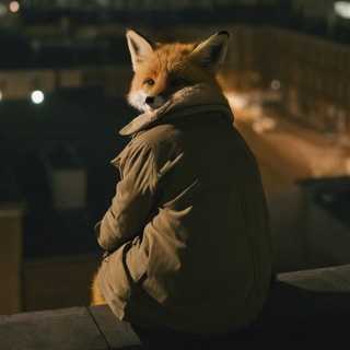 Логотип канала chat_foxfree