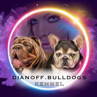 Логотип канала dianoffbulldogs