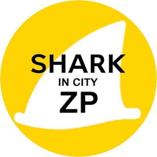 Логотип канала shark_in_city