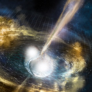 Логотип канала homeostatic_universe