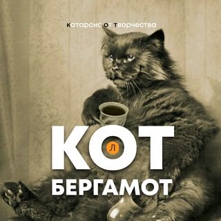 Логотип kot_litra