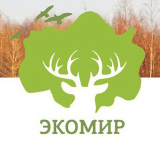 Логотип канала ekkomir