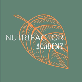 Логотип канала nutrifactor_academy