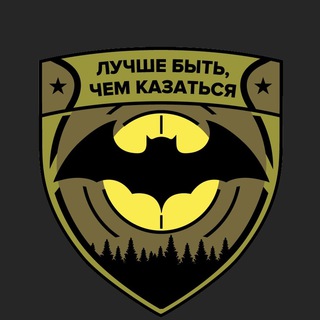 Логотип канала kyrsi_razvedki