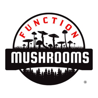 Логотип канала belarusian_mushroom