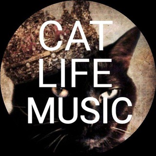 Логотип канала catlifemusic