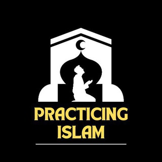 Логотип practicingmuslimahh