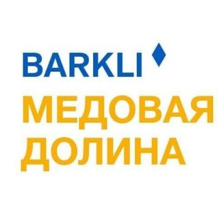 Логотип канала newsbarkli