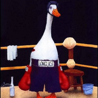 Логотип sportsgoose