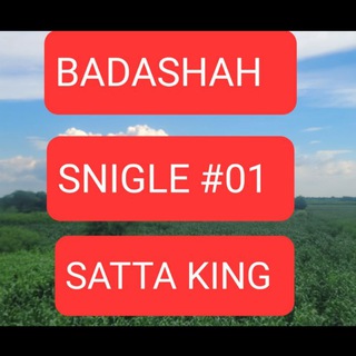 Логотип badashahbro