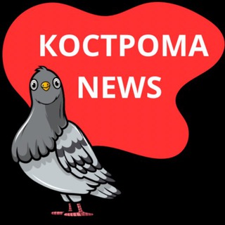 Логотип канала kostroma_news44