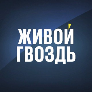 Логотип канала livegvozd