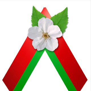 Логотип lidchinazabelarus