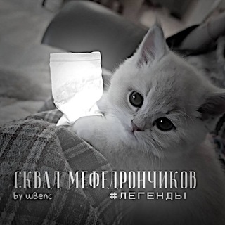 Логотип канала mefedronscvad