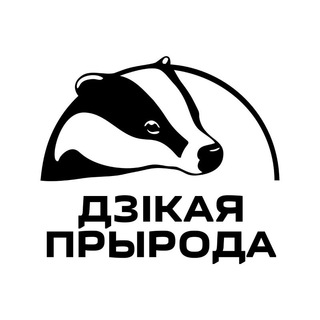 Логотип канала wildlifebelarus