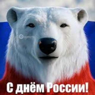 Логотип канала bear007