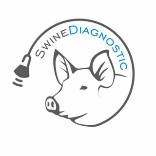 Логотип канала swinediagnostic