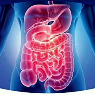 Логотип канала gastrointestinal_books