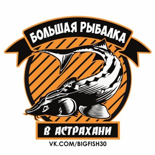 Логотип канала bigfishing30