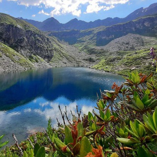 Логотип hiking2023