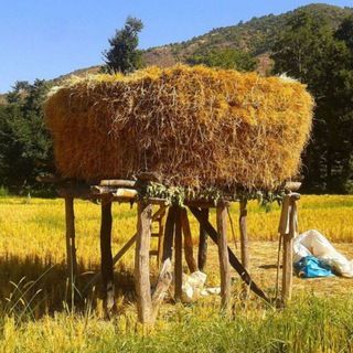 Логотип канала hezarjerib_mazandaran