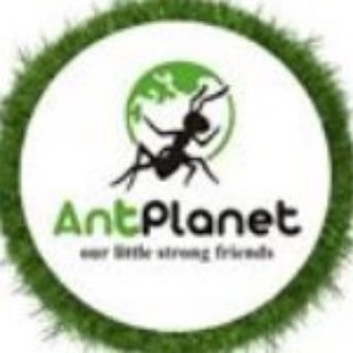 Логотип канала AntPlanet