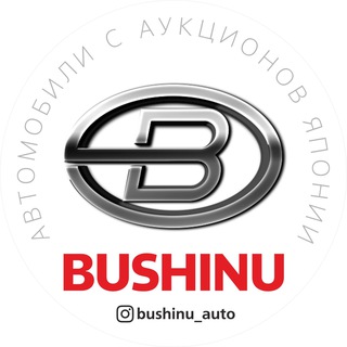 Логотип канала BUSHINUAUTO